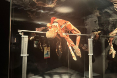 Obrazek-WhatsApp-2025-11-03-v-07.43.40_32c88c14