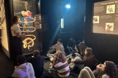 Obrazek-WhatsApp-2025-11-03-v-07.43.40_3ae13fff