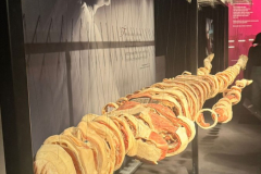 Obrazek-WhatsApp-2025-11-03-v-07.43.40_d634b005