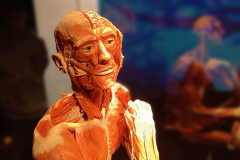 02c1902b-a34f-40fa-aaf0-5abbe56c56ec