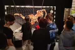 08f589ea-9bd3-402d-927a-87bab39994d3