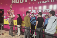 1686def8-795d-42e1-a1d2-491f9fbf76ff