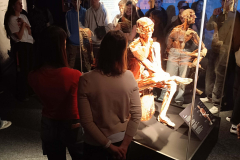 594f2ce3-8cc5-47f1-bab3-401cca63aff9