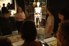 66936d12-aba1-4998-87c8-81fdfb6735a5