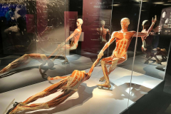 b2ef115b-df95-4577-bcbe-ff5ea3e481b1